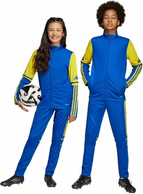 Pamja 4