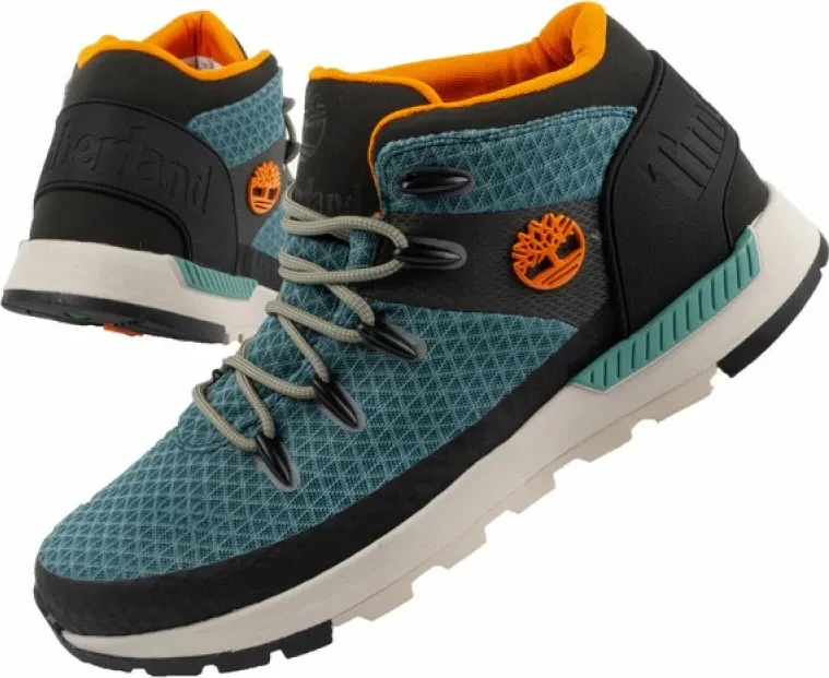 Pamja 1