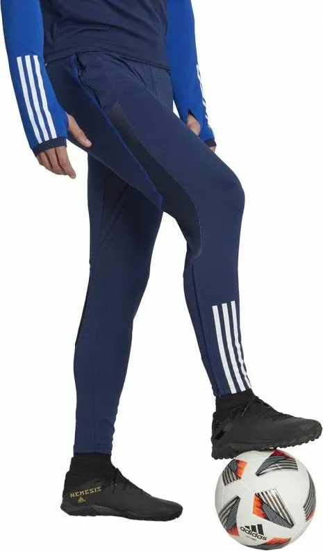 Pamja 4