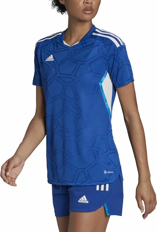 Pamja 3