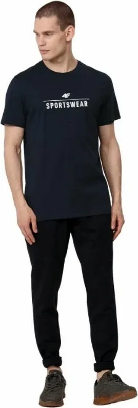 Pamja 4