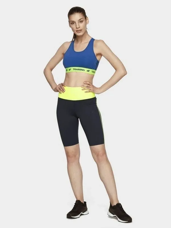 Pamja 4