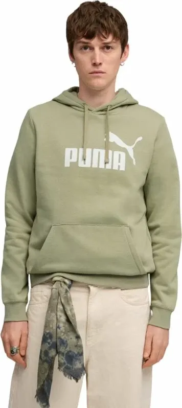 Pamja 1
