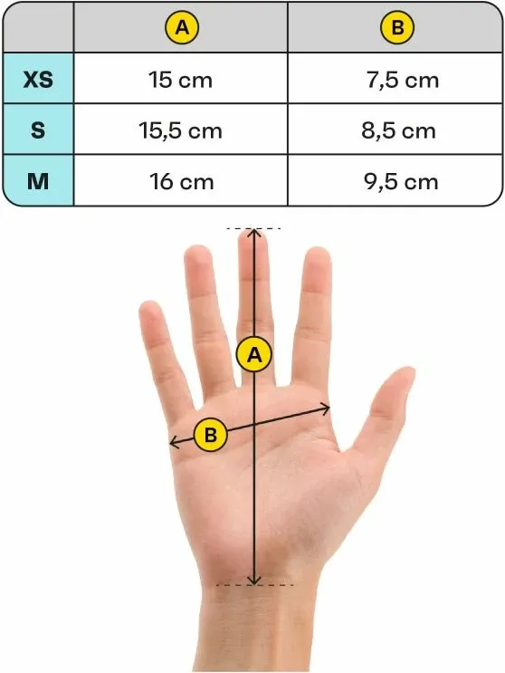 Pamja 6