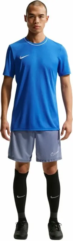 Pamja 8