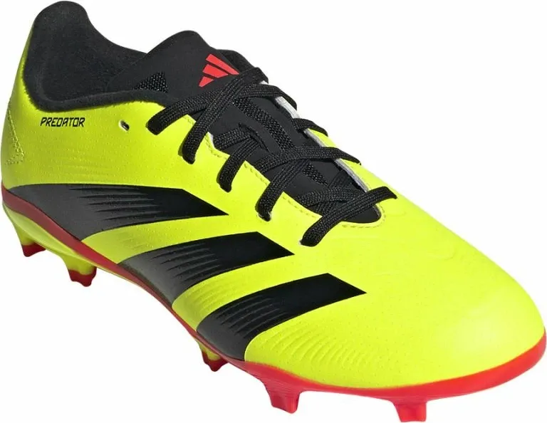 Pamja 4