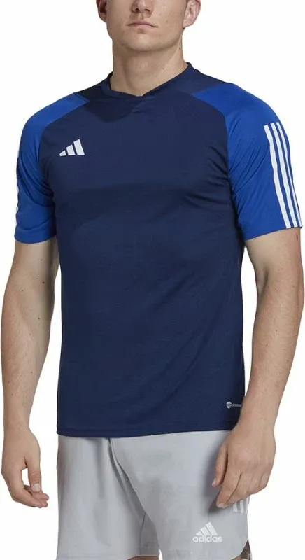 Pamja 3