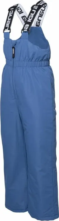Pamja 4
