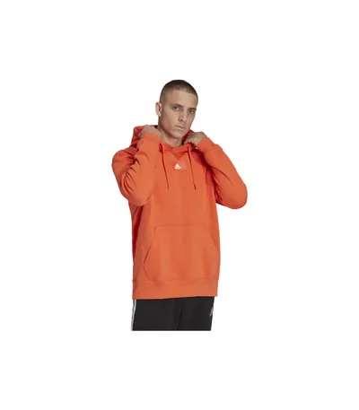 Pamja 1