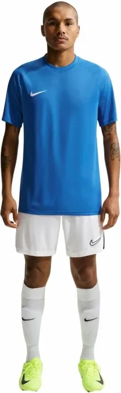 Pamja 6