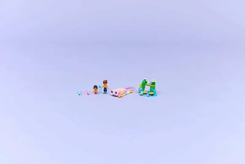 Pamja 11