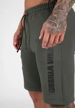 Pamja 6