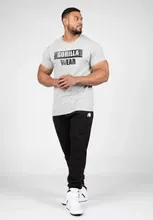 Pamja 4