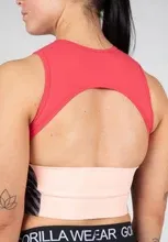 Pamja 3