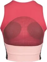 Pamja 2