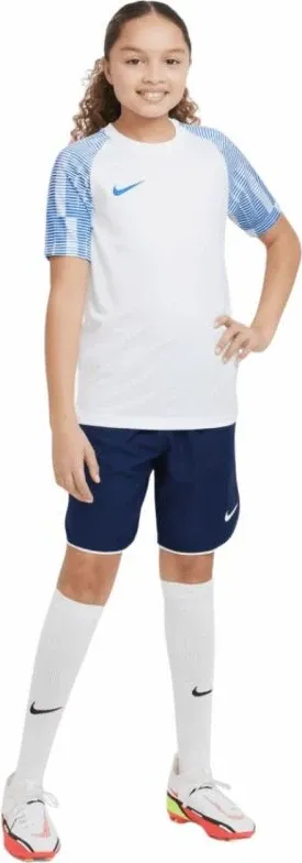 Pamja 3