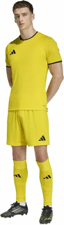 Pamja 4