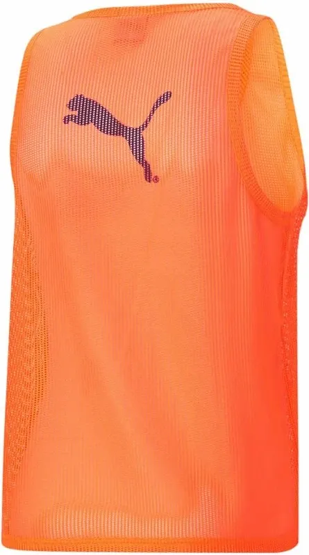 Pamja 2