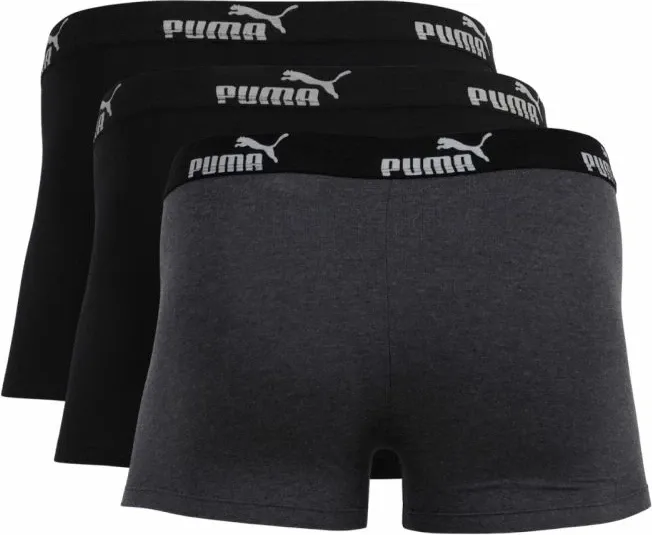 Pamja 2