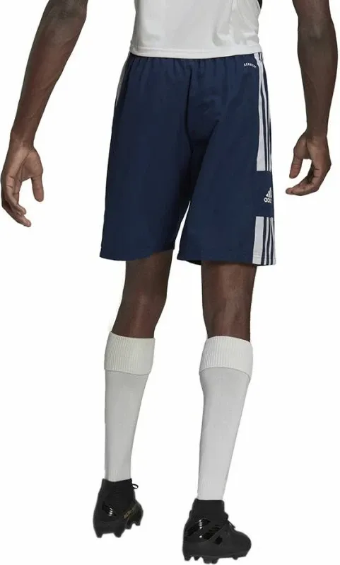 Pamja 3