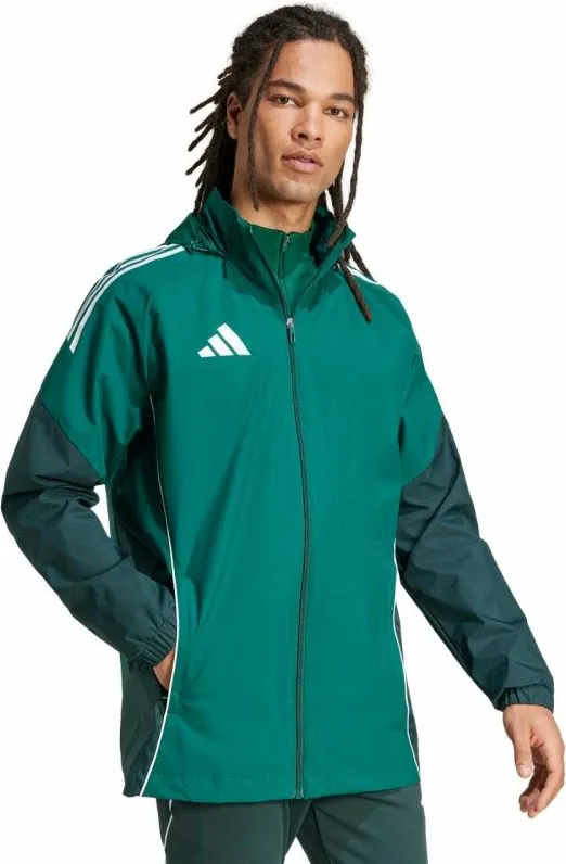 Pamja 1