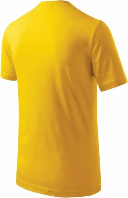 Pamja 4