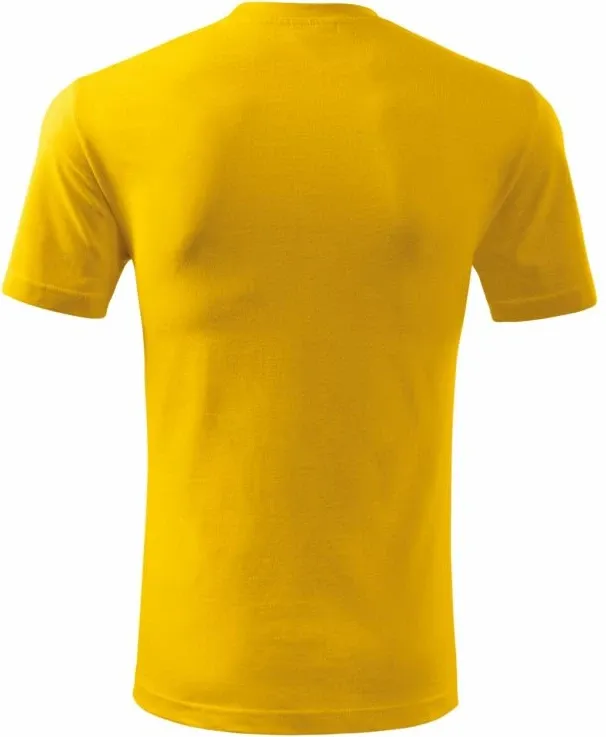 Pamja 4