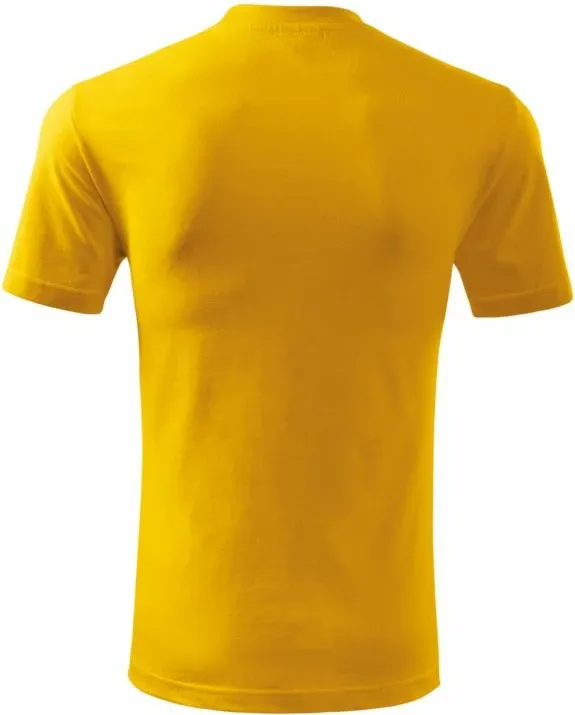 Pamja 4