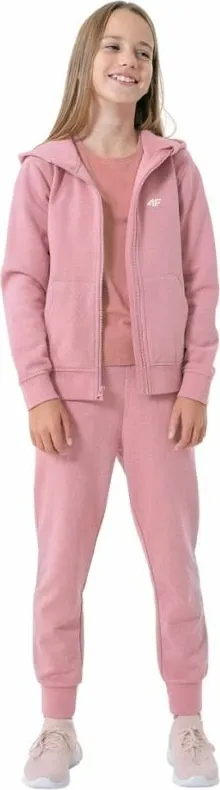 Pamja 4