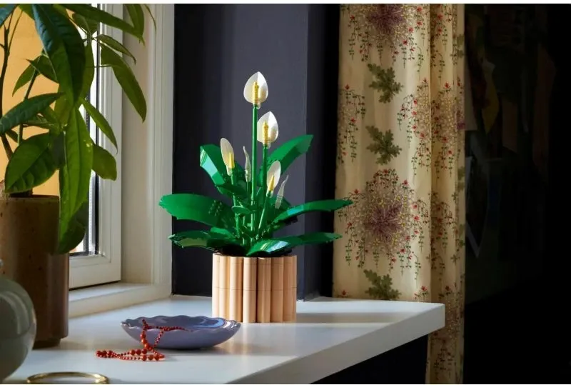 Set LEGO Botanical për të rritur, Spathiphyllum në vazo - 4
