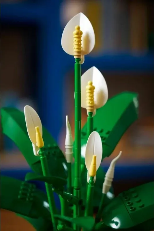 Set LEGO Botanical për të rritur, Spathiphyllum në vazo - 9