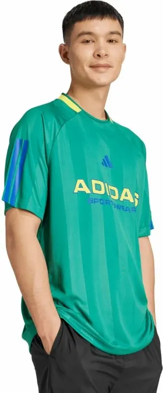 Pamja 4