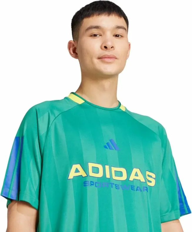 Pamja 5