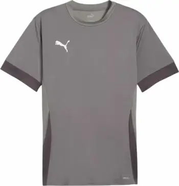 Fanellë për meshkuj Puma, gri