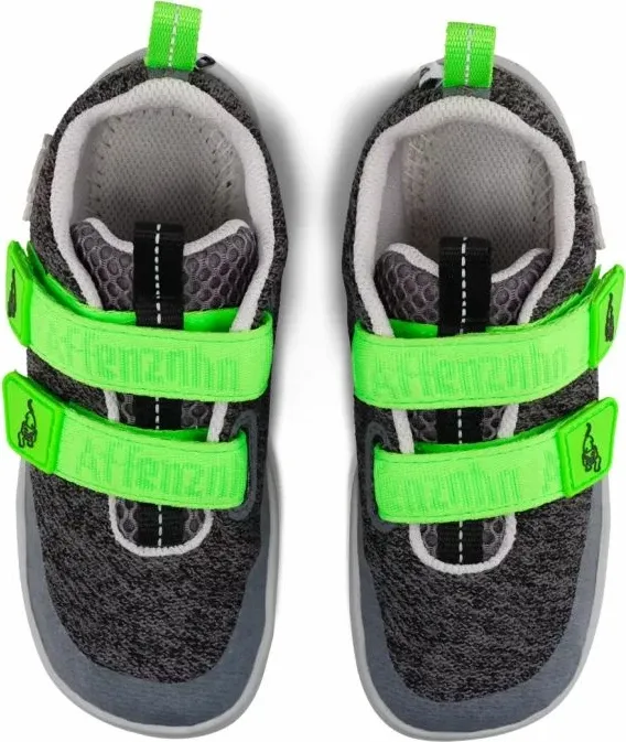 Pamja 5