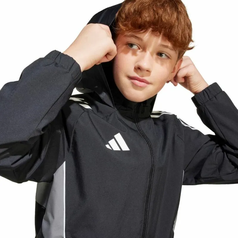 Pamja 4
