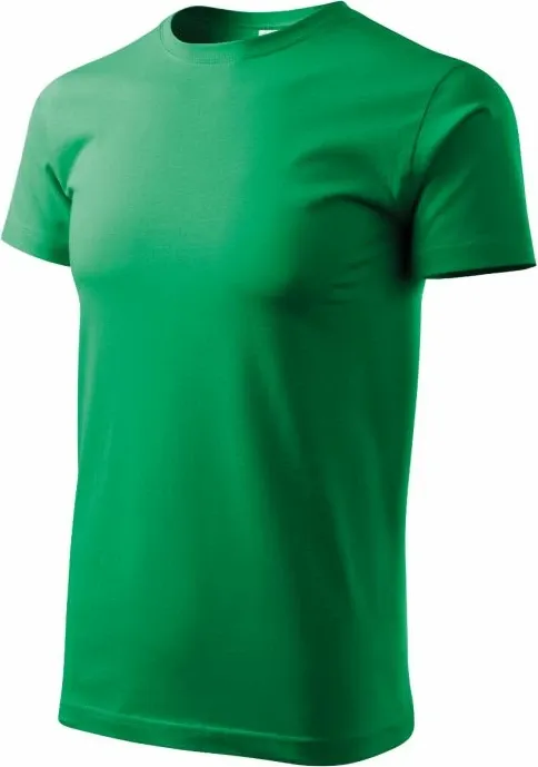 Pamja 1