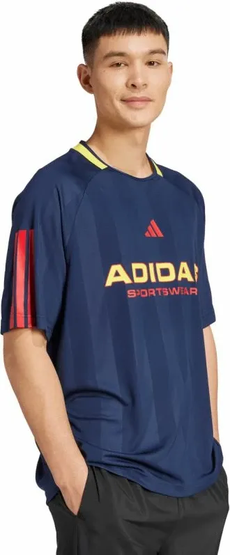 Pamja 4