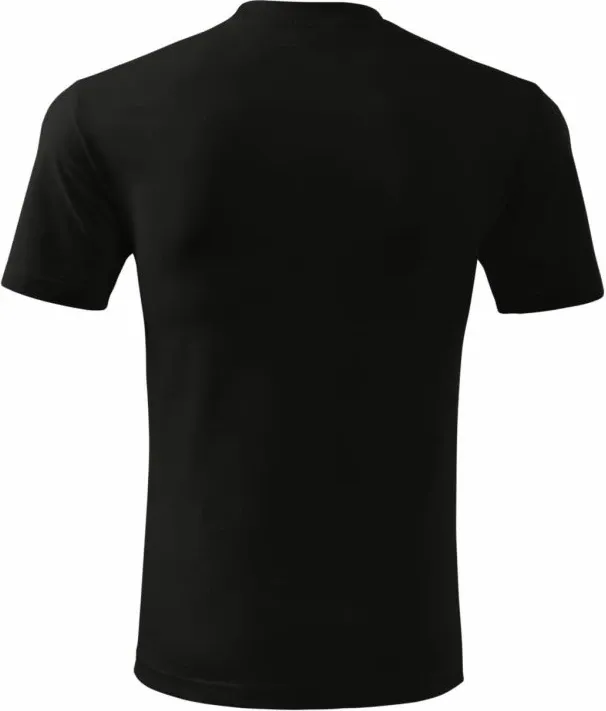 Pamja 4