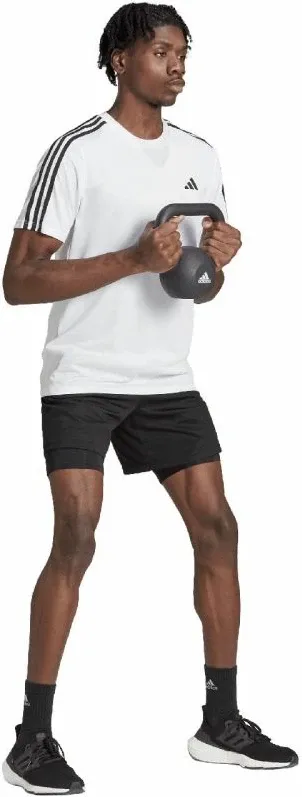 Pamja 3