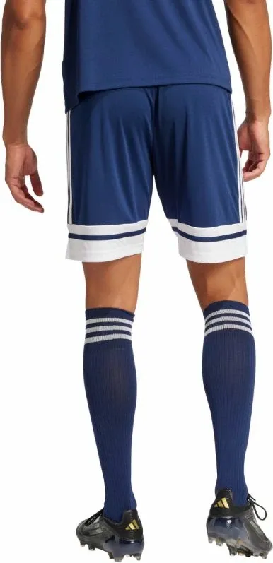 Pamja 3