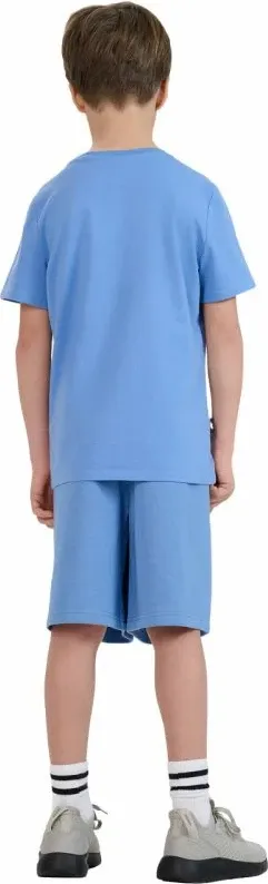 Pamja 3