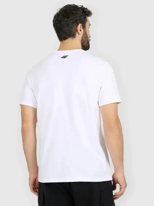 Pamja 2