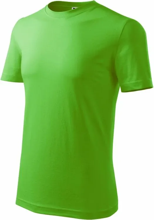 Pamja 1