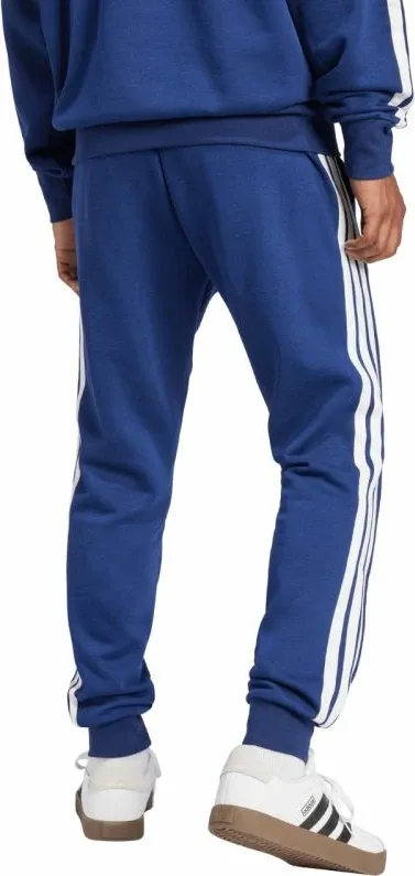 Pamja 3