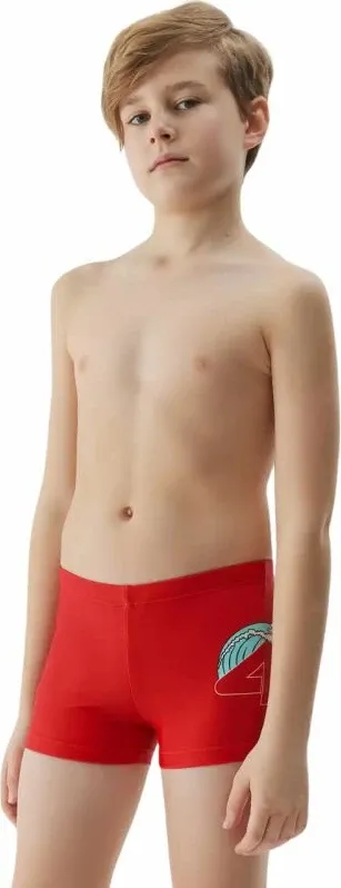 Pamja 1