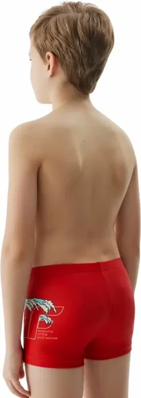 Pamja 2