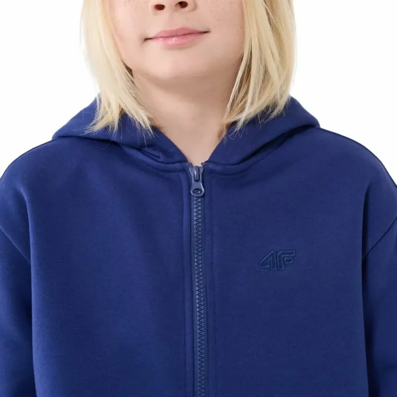Pamja 4