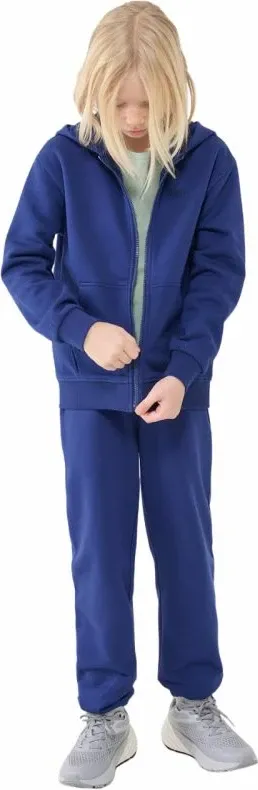 Pamja 6