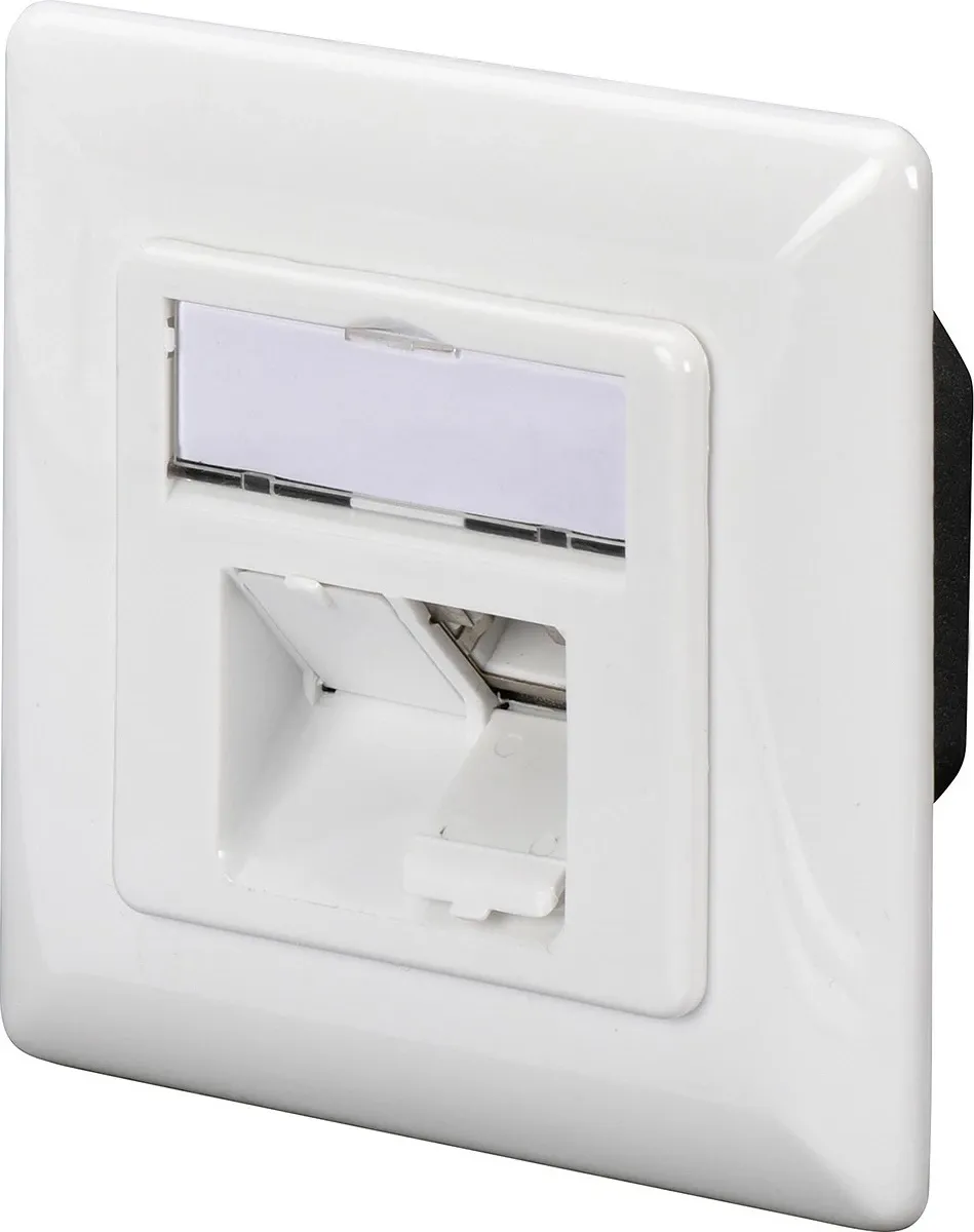 Prizë rrjeti Digitus CAT 6A, 2xRJ-45, e bardhë - 1